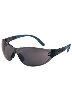 MSA Perspecta Antibeschlag-Schutzbrille