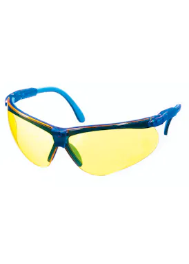 MSA Perspecta 10045643 Schutzbrille