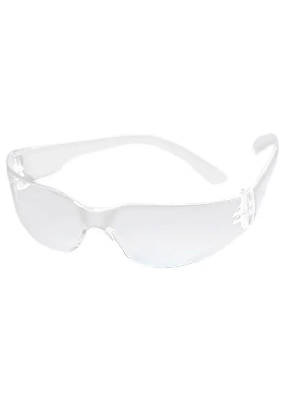 MSA Perspecta FL250 Schutzbrille
