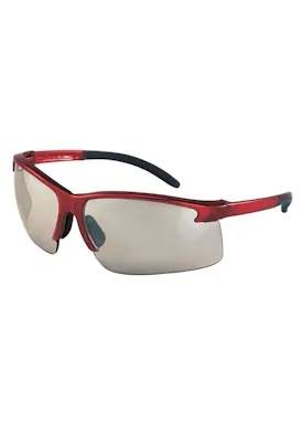 MSA Perspecta 1900 Schutzbrille