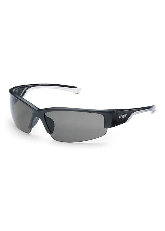 UVEX Polavision 9231-960 Schutzbrille - 1