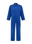 Koningsblauw (Bright Royal)