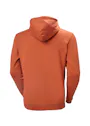 Helly Hansen Classic Logo Hoodie Vorschaubild
