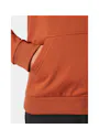 Helly Hansen Classic Logo Hoodie Vorschaubild