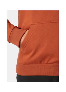 Helly Hansen Classic Logo 79284 Hoodie Regular Fit miniatuur