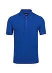 Koningsblauw (Bright Royal)