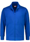 Koningsblauw (Bright Royal)