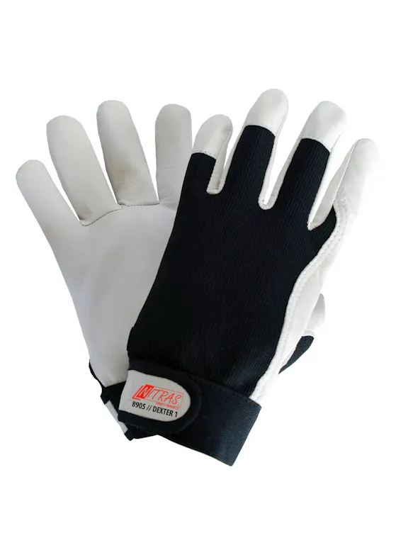 Nitras Safety 8905 – Dexter-1-Handschuh