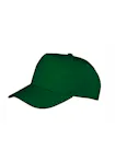 Bosgroen