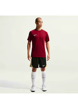 Nike Dri-FIT Park VIII pour hommes maillot de football manches courtes HV8173 thumbnail (vignette)