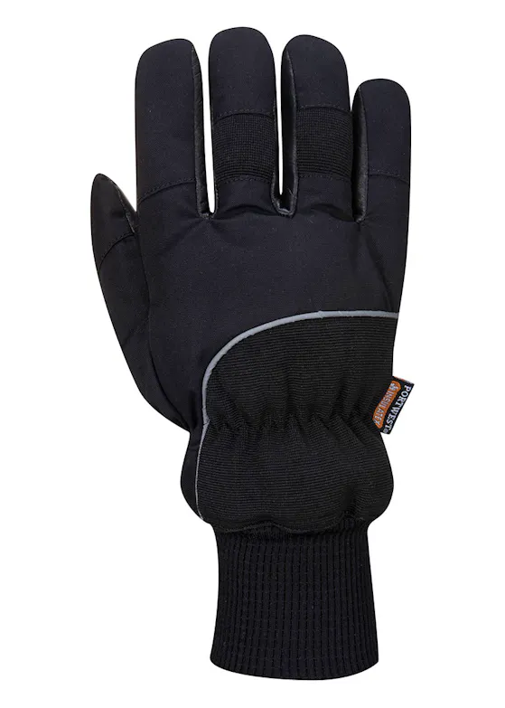 Portwest Apacha Cold-Store Glove