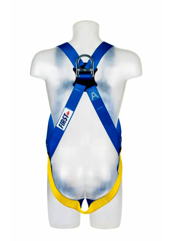 3M Protecta E50 Auffanggurt AB17711SM, blau, Small
