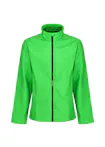 Groen/zwart