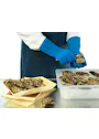Ansell AlphaTec 62-401 Handschoen-1 miniatuur