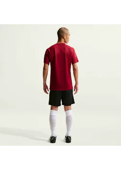 Nike Dri-FIT Park VIII pour hommes maillot de football manches courtes HV8173 thumbnail (vignette)