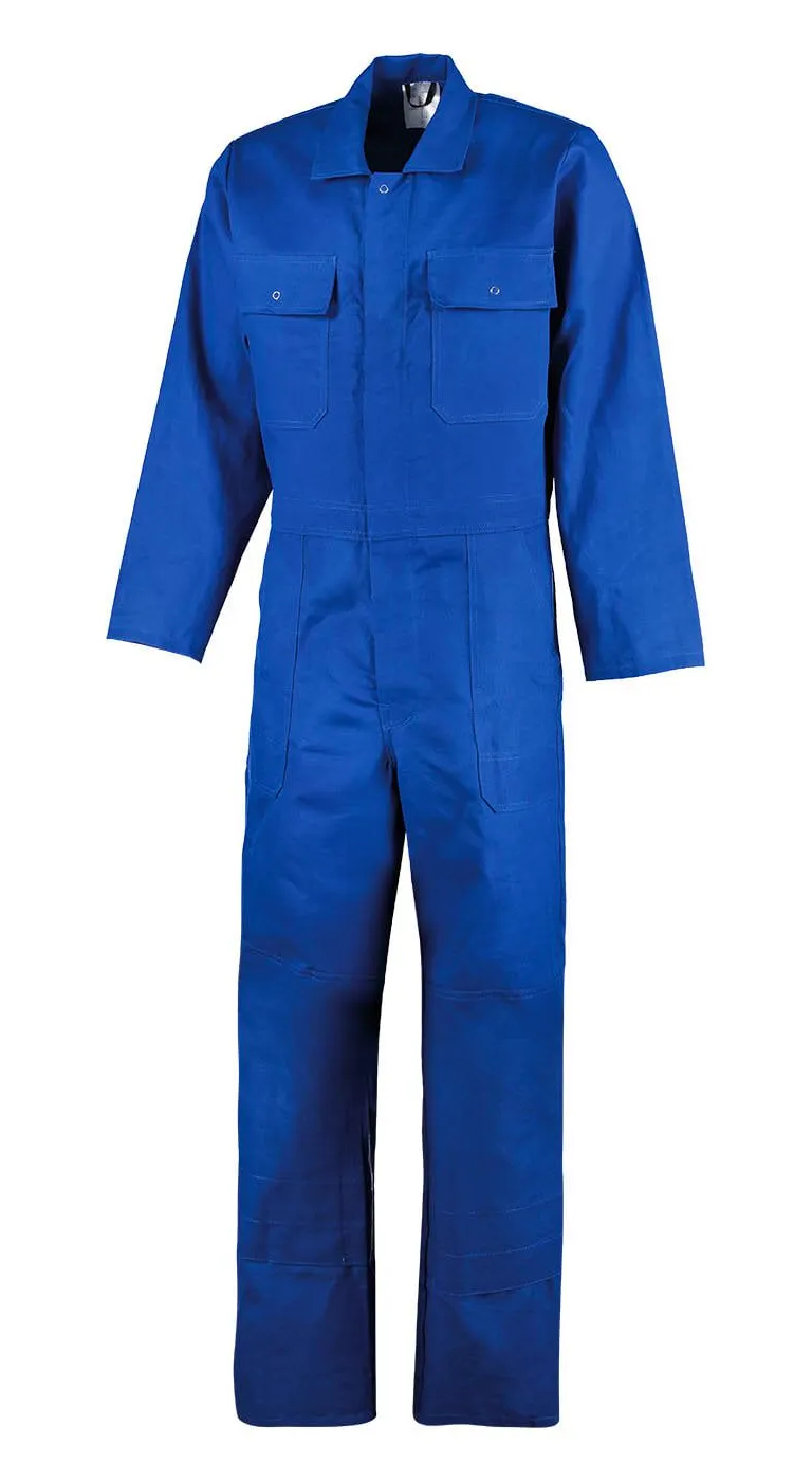 Korenblauw