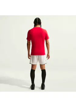 Nike Dri-FIT Park VIII pour hommes maillot de football manches courtes HV8173 thumbnail (vignette)