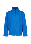 Koningsblauw (Bright Royal)