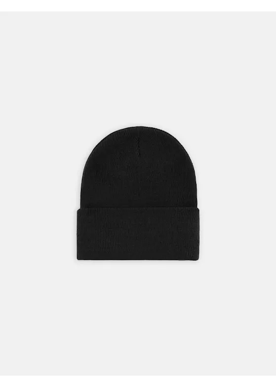 Dickies DK0A4Y63 gestrickte Beanie-Mütze