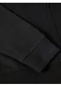 Dickies DK0A4XTO Regular Fleece Hoodie Vorschaubild