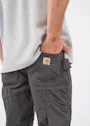 Carhartt Steel Multipocket Pant miniatuur