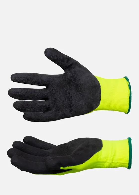 Cerva Palawan Latexhandschuh