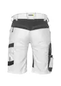 Dassy Axis Maler-Short Vorschaubild