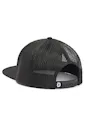 Dassy Hebe Flat Brim Pet miniatuur