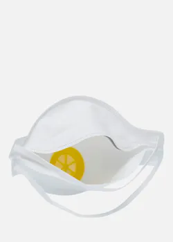 Delta Plus 10 Maskers FFP2 M1205V miniatuur