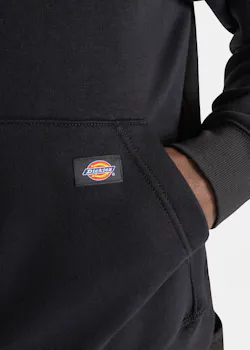 Dickies DK0A4YT6 Regular Fleece Hoodie miniatuur