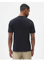Dickies DK0A4XC9 Icon Logo T-shirt miniatuur