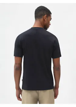 Dickies Icon Logo DK0A4XC9 T-shirt Regular Fit Apparel miniatuur