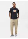 Dickies DK0A4XC9 Icon Logo T-shirt miniatuur