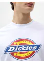 Dickies DK0A4XC9 Icon Logo T-shirt miniatuur