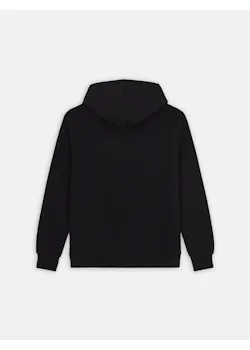 Dickies Icon DK0A4XCB Logo Hoodie Regular Fit Apparel miniatuur