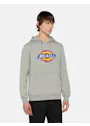 Dickies DK0A4XCB Icon Logo Hoodie Vorschaubild