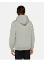 Dickies DK0A4XCB Icon Logo Hoodie Vorschaubild