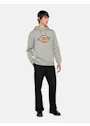 Dickies DK0A4XCB Icon Logo Hoodie Vorschaubild