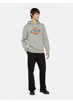 Dickies Icon DK0A4XCB Logo Hoodie Regular Fit Apparel miniatuur