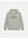 Dickies DK0A4XCB Icon Logo Hoodie Vorschaubild