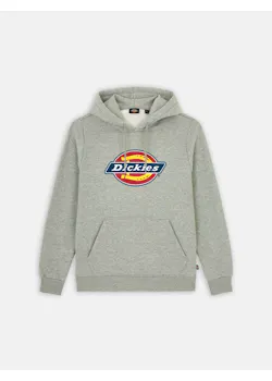 Dickies Icon DK0A4XCB Logo Hoodie Regular Fit Apparel miniatuur