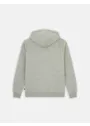 Dickies DK0A4XCB Icon Logo Hoodie Vorschaubild