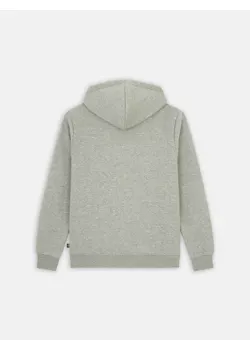 Dickies Icon DK0A4XCB Logo Hoodie Regular Fit Apparel miniatuur