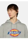 Dickies DK0A4XCB Icon Logo Hoodie Vorschaubild