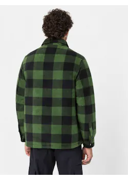 Dickies DK0A4XTA Portland chemise thumbnail (vignette)