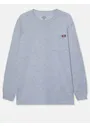 Dickies DK0WL450 Heavyweight LS Pocket Tee Relaxed miniatuur