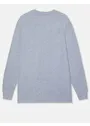 Dickies DK0WL450 Heavyweight LS Pocket Tee Relaxed miniatuur