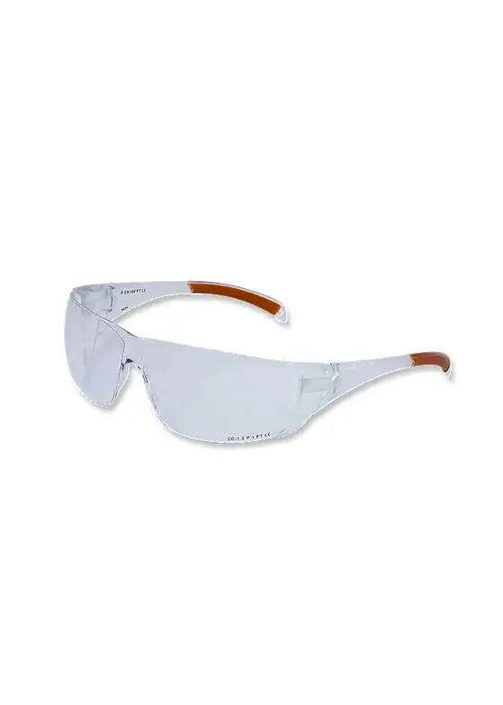 Carhartt: Billings Glasses EG1ST