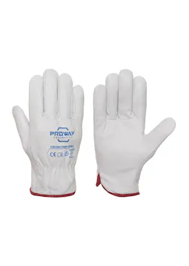 Proway Protection Driver PWH-1519V