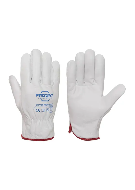Proway Protection Driver PWH-1519V